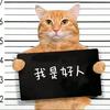 CF晨月i（排位教学）头像
