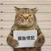来看鱼🐟头像