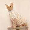 虎三养猫日记头像