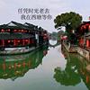 等你在西塘头像