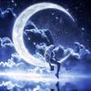 《深夜难眠看沙雕》头像