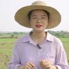 小朱爱三农头像