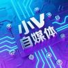 小V自媒体头像