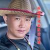 老彭救树头像