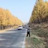 斌哥（记录美好生活）头像