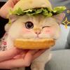 厚礼蟹头像
