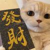 云朵剪辑头像