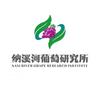 宾川纳溪河葡萄研究所头像