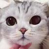 亡海头像