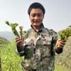小刚刚的幸福生活头像