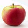 红苹果头像