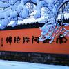 灭从色除头像