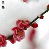 春暖花开.头像
