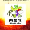 四棱豆头像