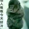66392头像