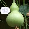 徐桂军头像