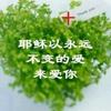 金石心石头像