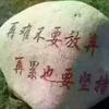 zmrs星头像