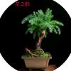 夜猫花坊头像