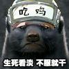 突击手蜜獾头像