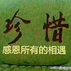感恩所有的相遇头像