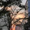 漫步者zero头像
