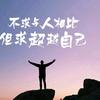 扬帆远航（华夏第一狮团）头像