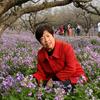十里桂花香头像