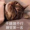 沛文沛语头像