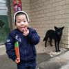 随心所欲头像