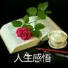 白云摘月头像