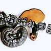 灵芝大小姐Vlog头像