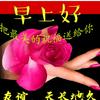 游客头像