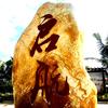 启航头像