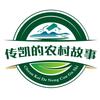 传凯的农村故事头像