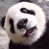 徐小侠丶头像