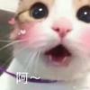 配音的咸鱼酱头像