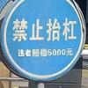 保存本地头像