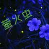 萤火虫老于头像