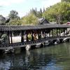 东北5O后老王头头像
