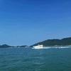 前海坤哥头像