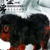 畅獒园头像