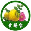 贵赐宝头像