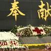 草原头像