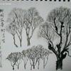 关俊延头像