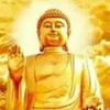阿弥陀佛~陆歌头像