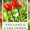 阳光总在风雨后头像