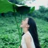 观荷听雨头像