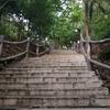小小学兵头像
