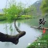 柳暗花明头像